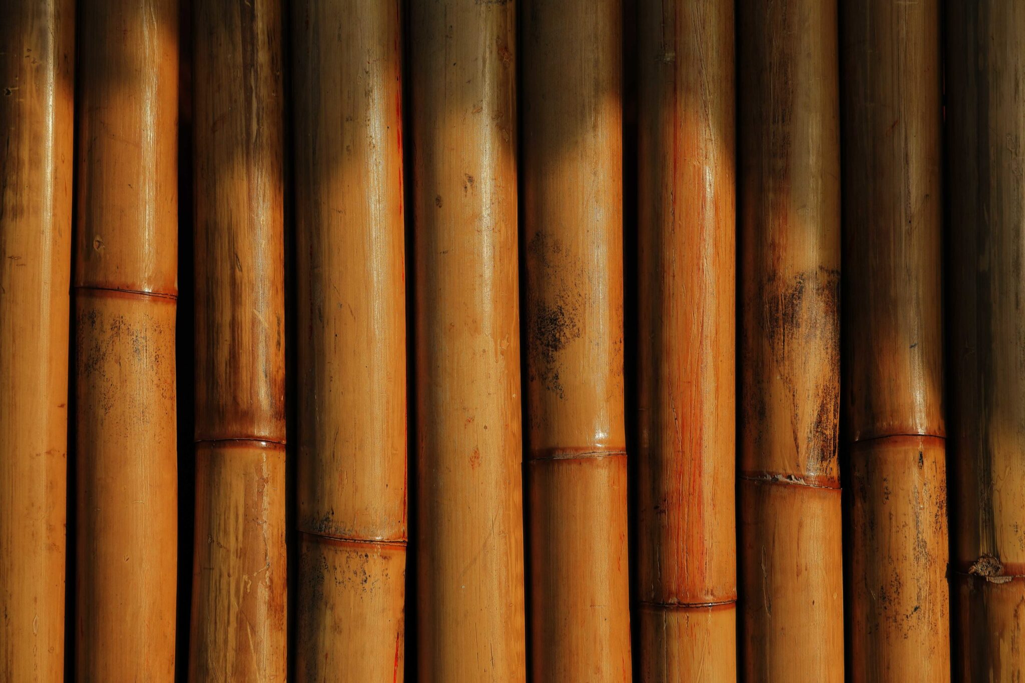 Bambus, PandaSup Material